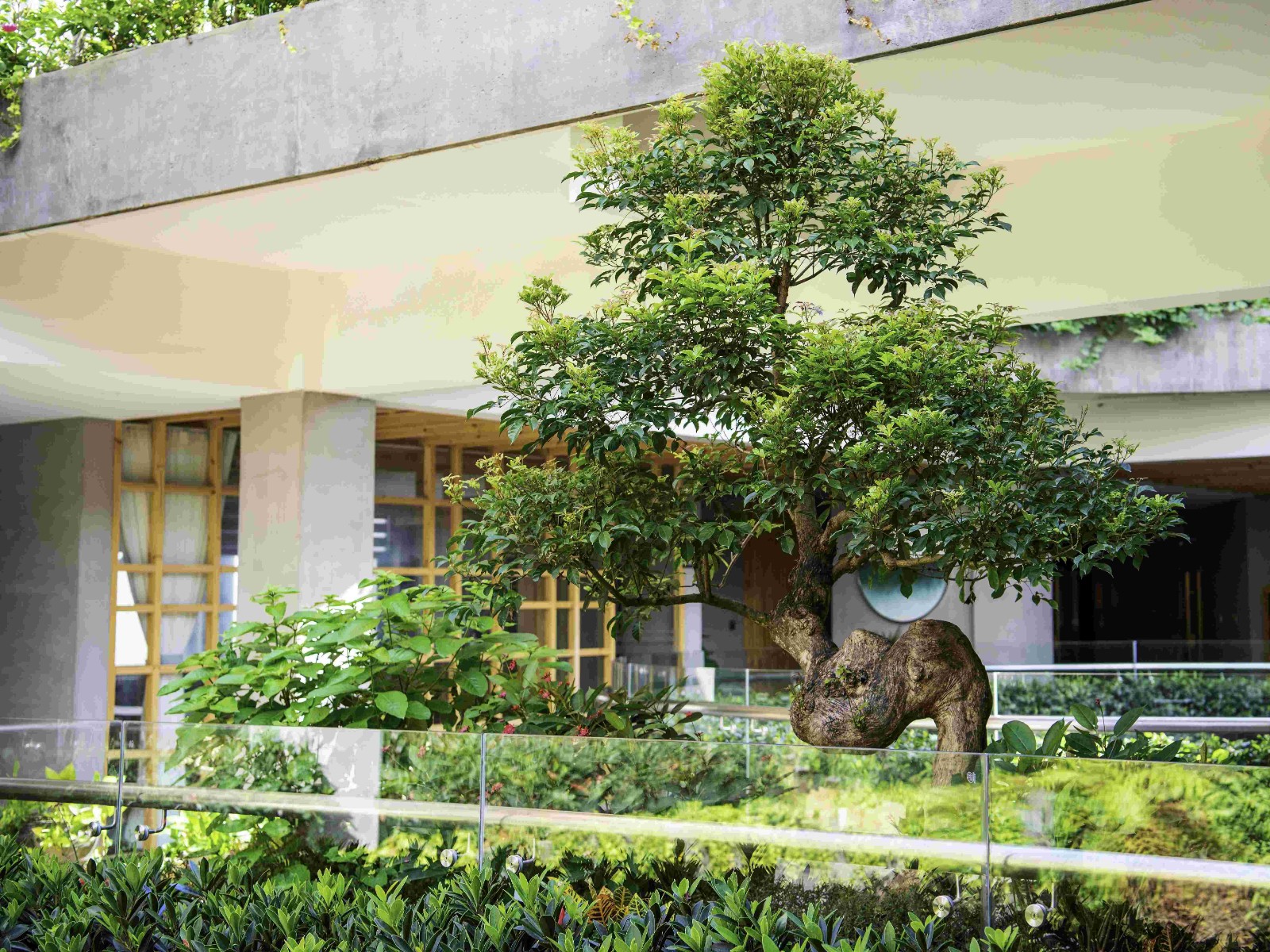 公司图片 (4)(1)(1).jpg