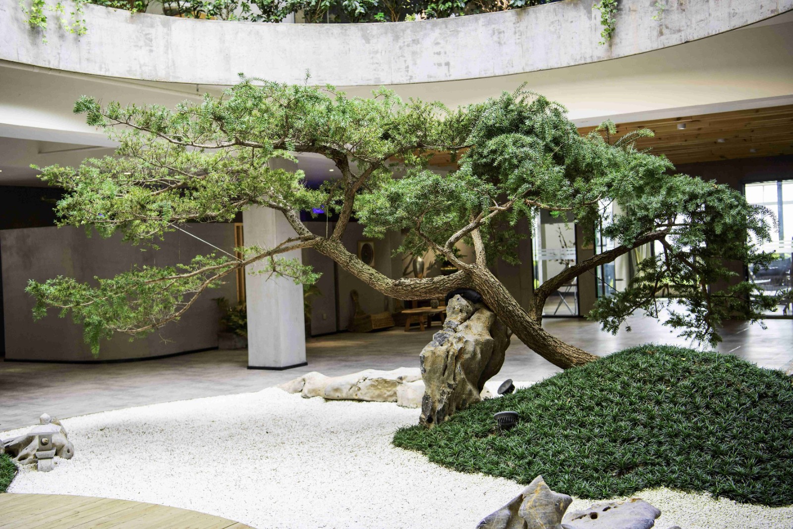 公司图片 (3)(1)(1).jpg