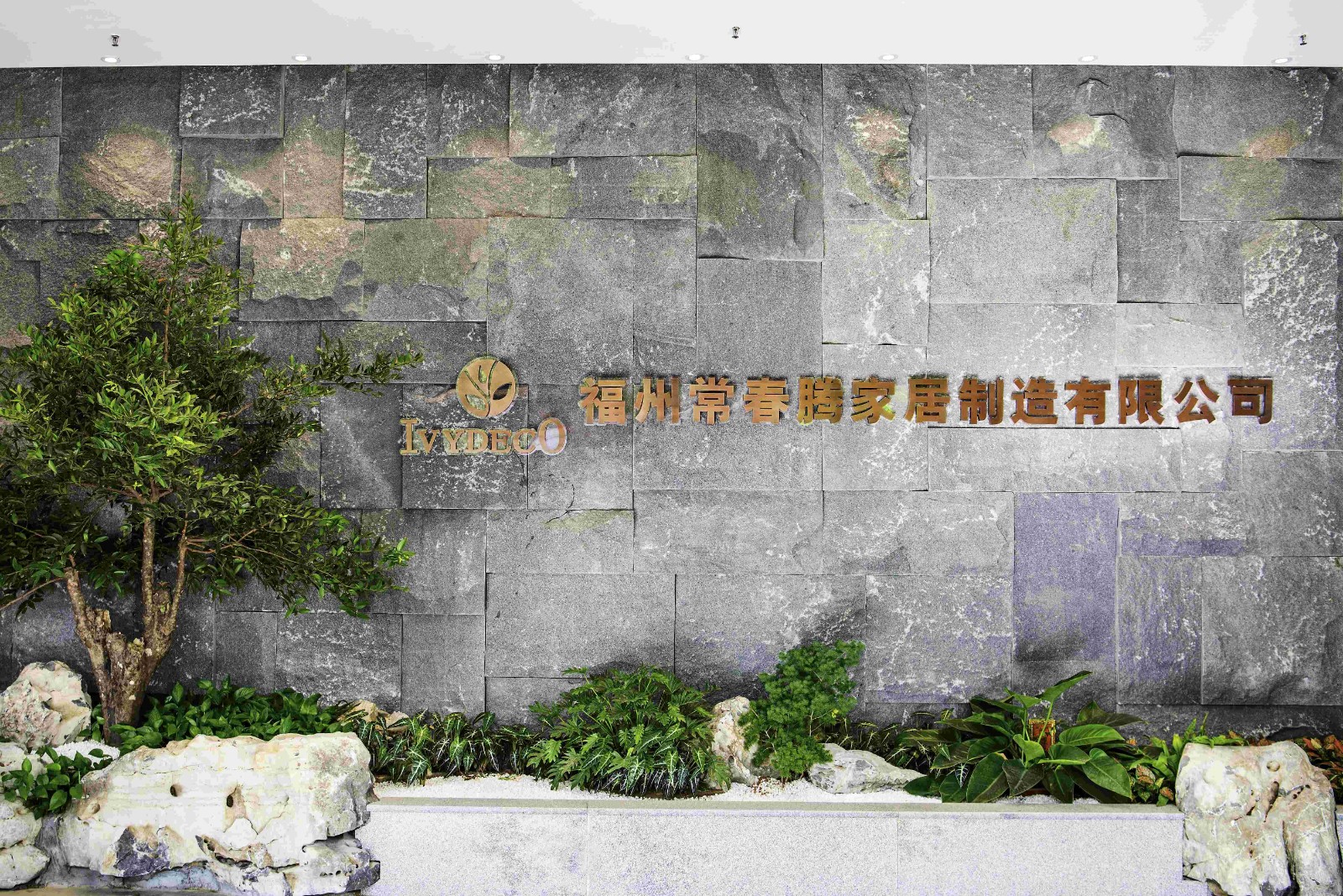 公司图片 (1)(1).jpg