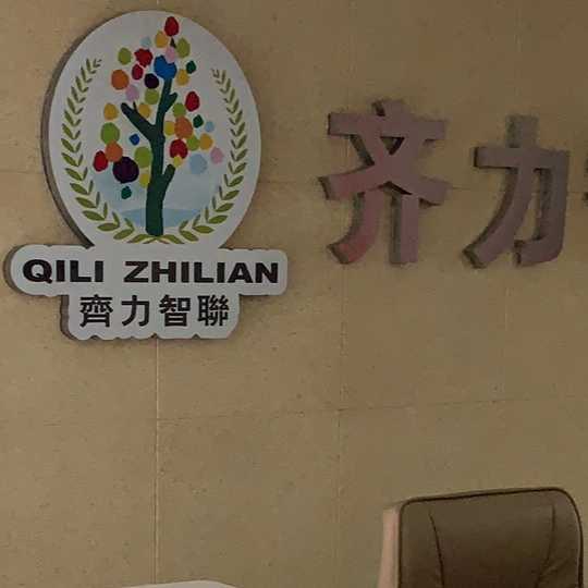 齐力智联（福建（控股集团有限公司））