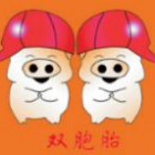 福清双胞胎饲料有限公司