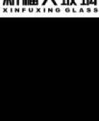 新福兴玻璃工业集团有限公司