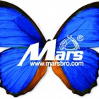 马氏兄弟科技（北京）股份有限公司福州分公司