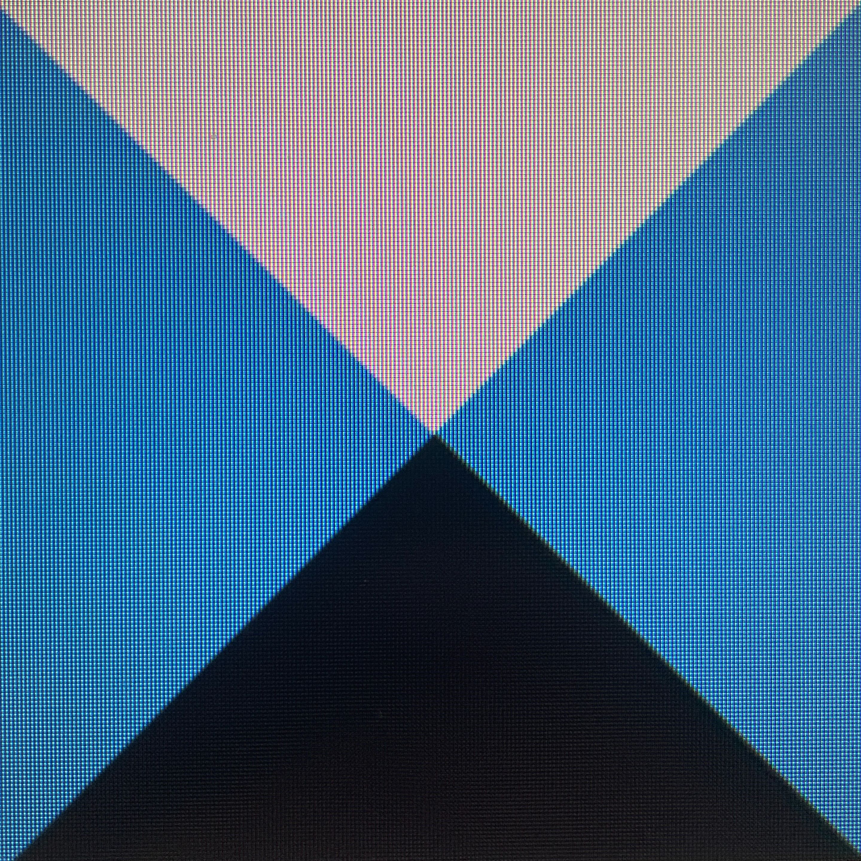 大华会计师事务所（特殊普通合伙）福建分所