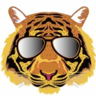 燃魂实业（福建）有限公司